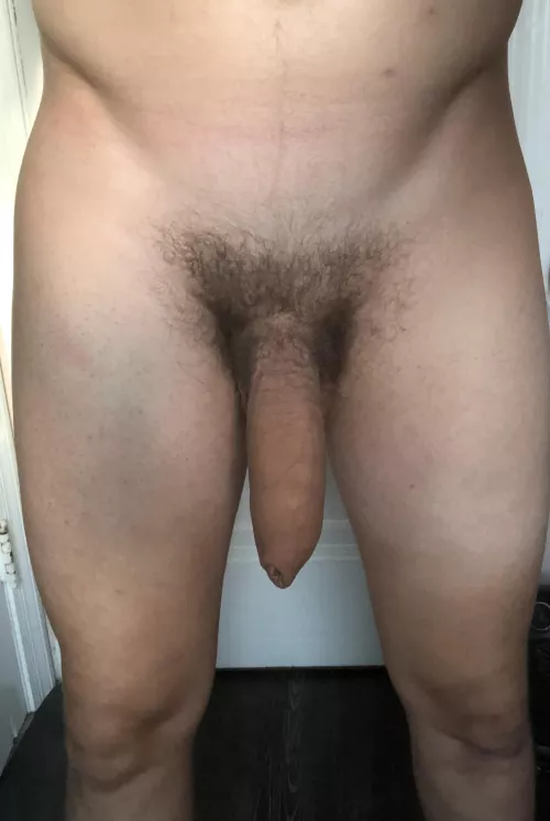 Just an uncut American guy with a heavy cock