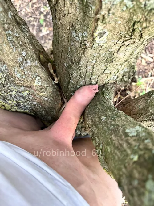 Love for nature, man and his Tree Friend…
