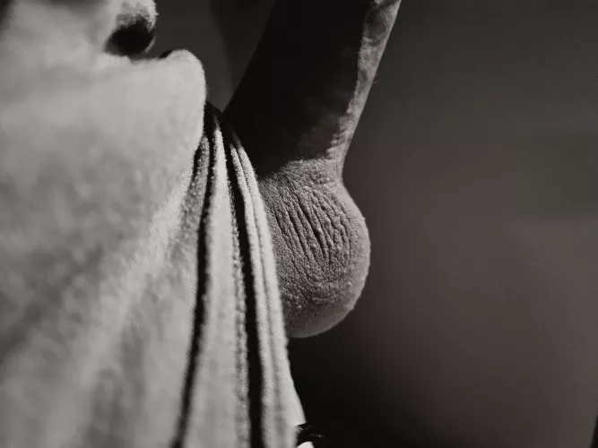 Never forget the balls in art.