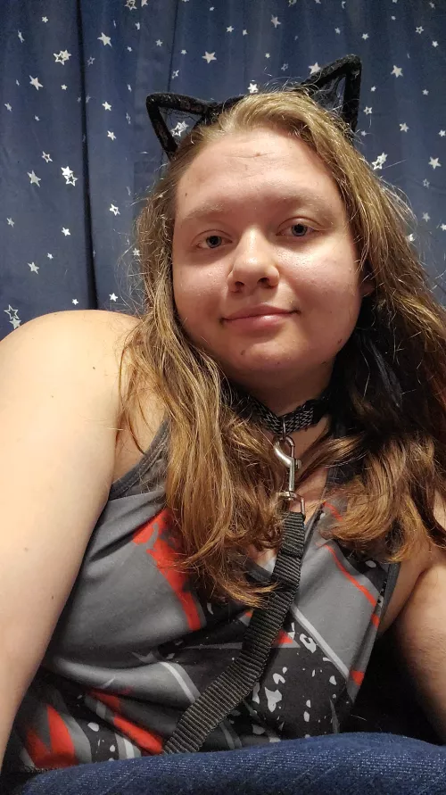 Take this kitten on a walk or train me