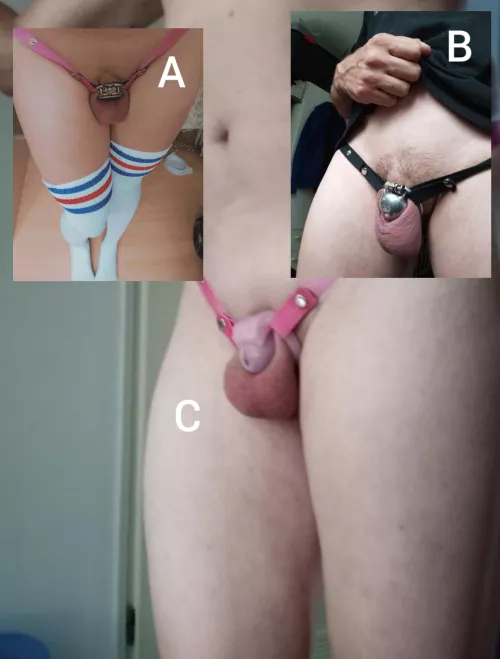 wich one should I wear next.