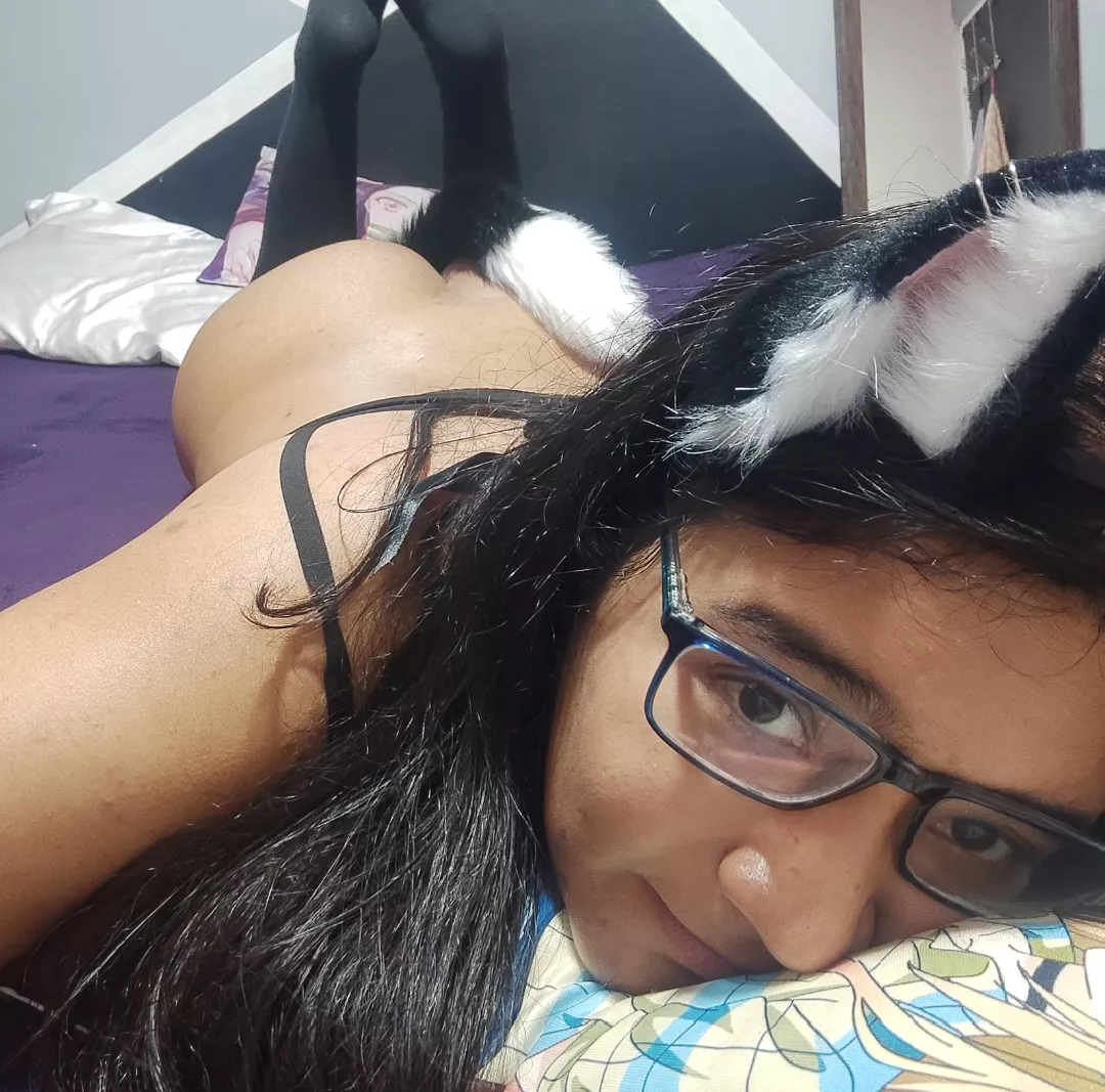 AM i adorable latina kitten?🥺