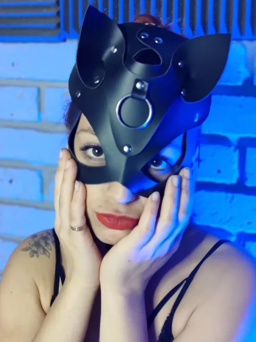 I am a very obedient kitten