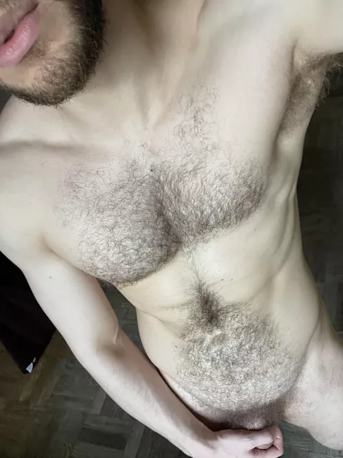 Look into my forest 🌲