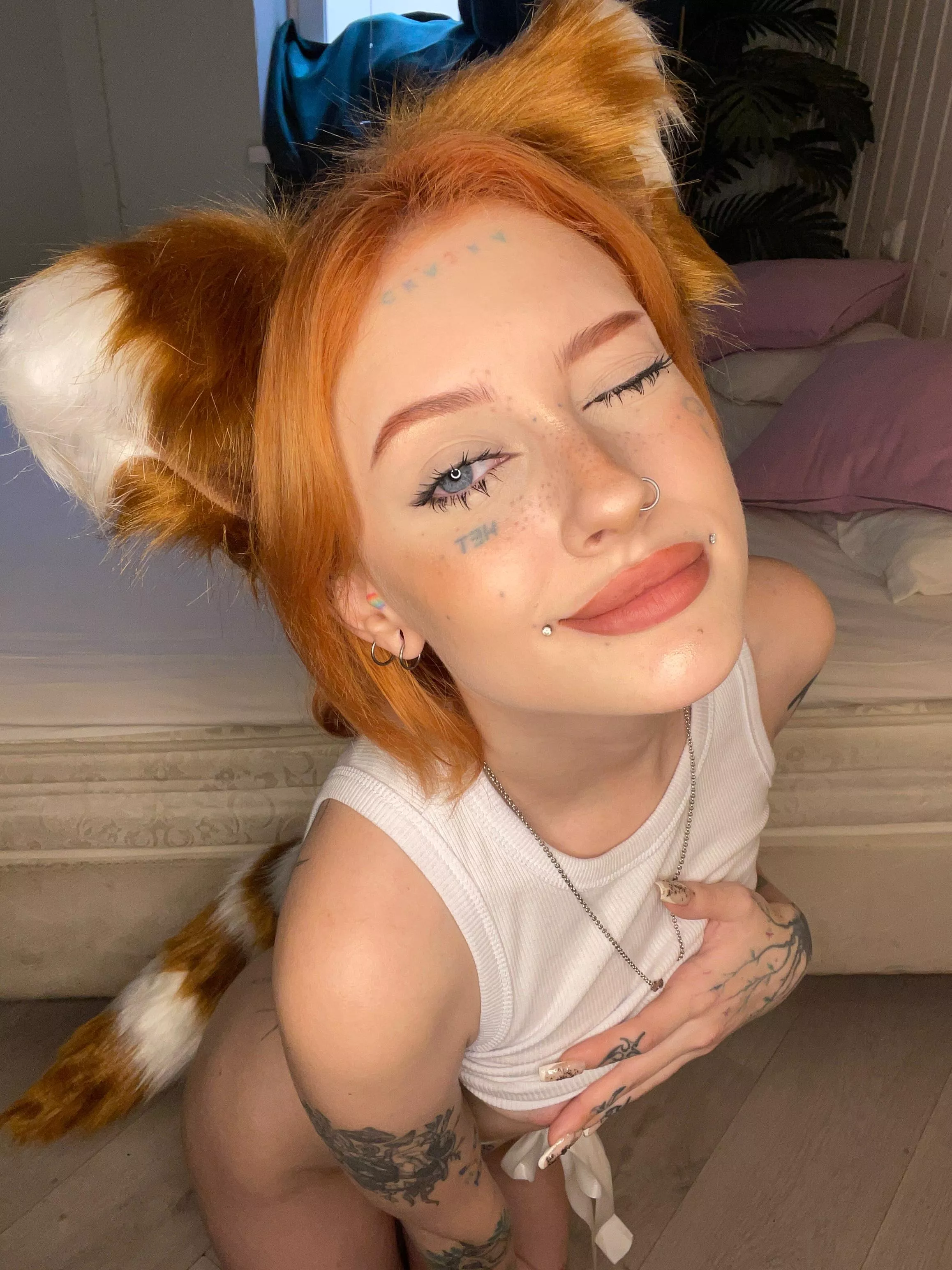 The cheeky red fox not only stole your fish, but also your heart