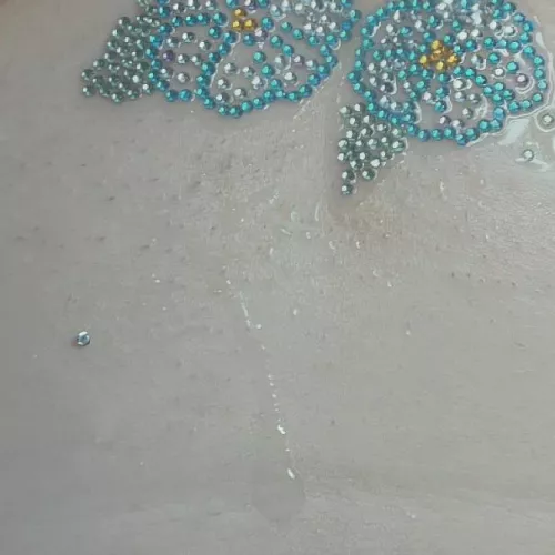 Trimmed a bush to plant some flowers 🌼🩵