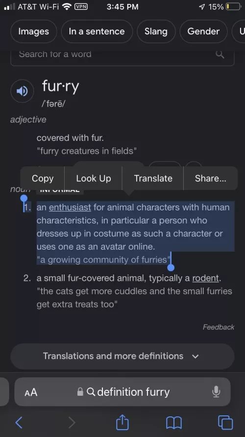 Who else disagrees with Google’s definition of a furry?