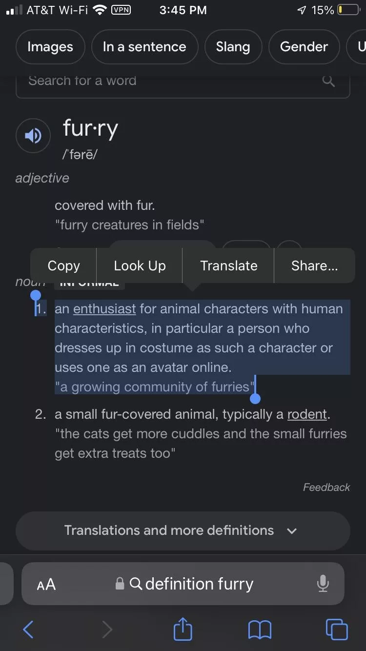 Who else disagrees with Google’s definition of a furry?