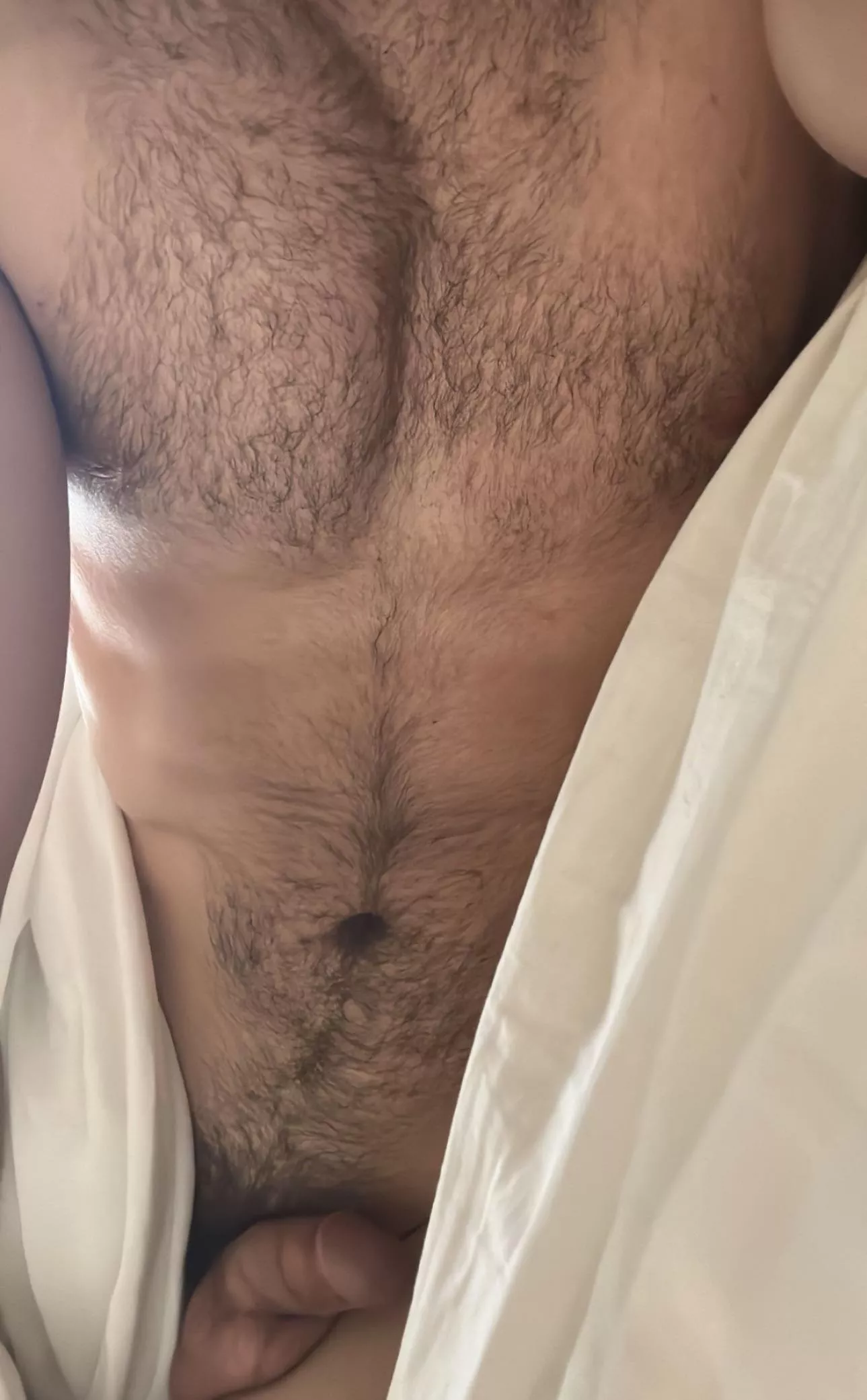 Who wants to jump into my bed this morning