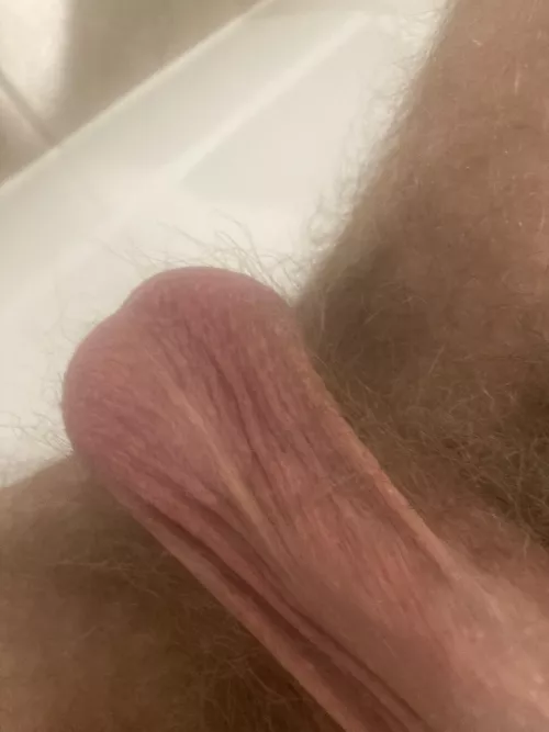 Would you suck and lick on them?