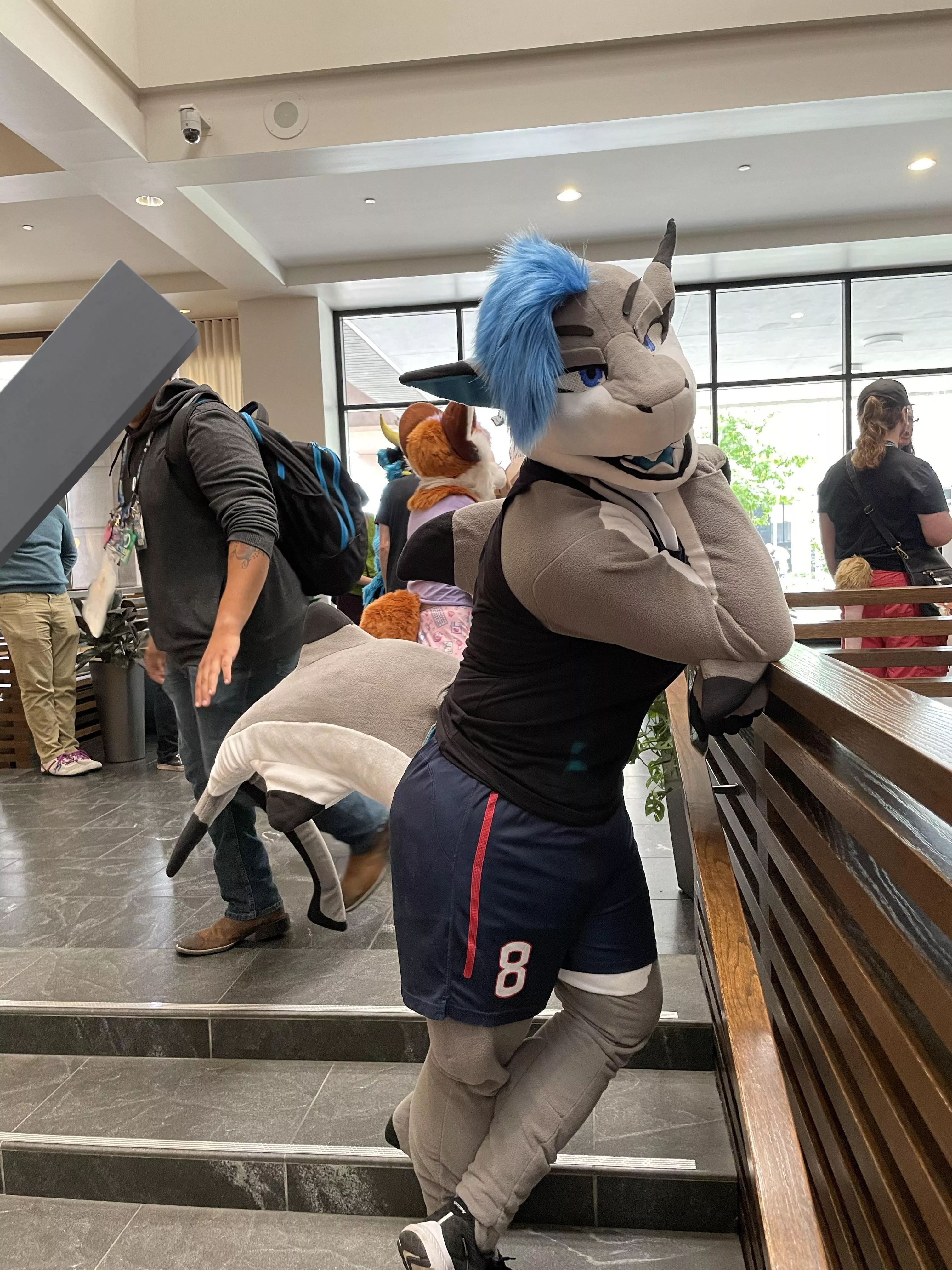 You've got the shark's attention