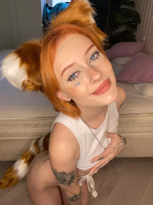 cute foxes need to be fed their master's cream, too, don't they