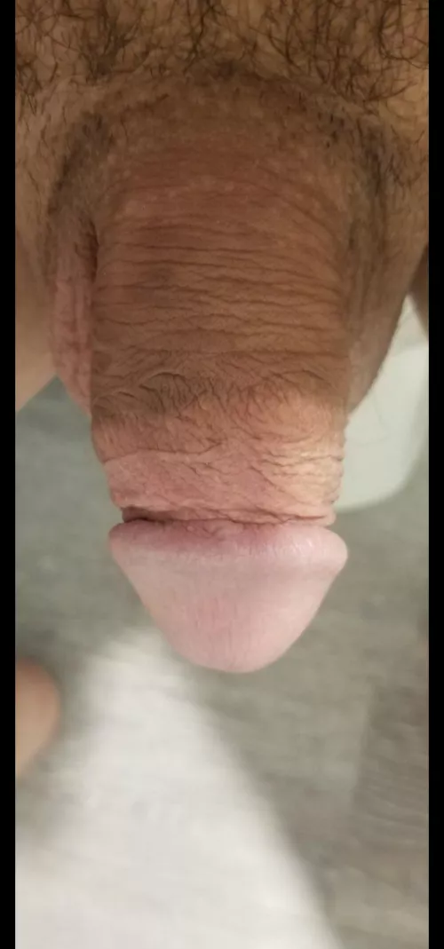 Looking to flood my boyfriend's inbox with tight ball sack pics. Cut dick pics are welcome too