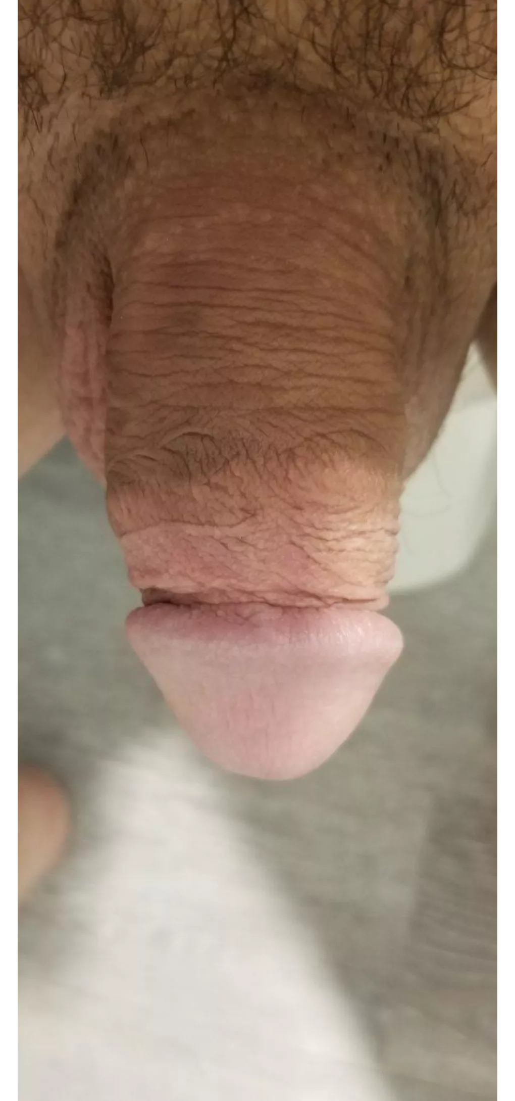Looking to flood my boyfriend's inbox with tight ball sack pics. Cut dick pics are welcome too