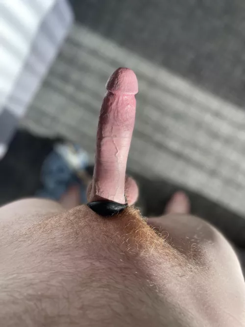 Love the way my bush catches the light