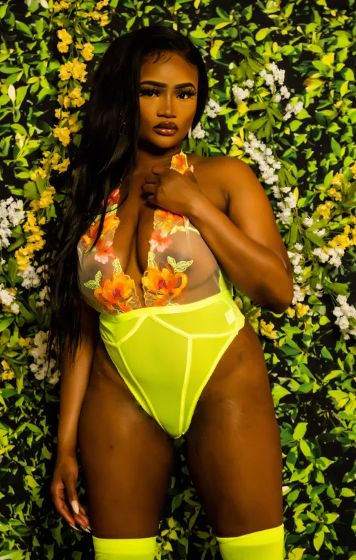 Rip me out my lingerie I been actin brand new