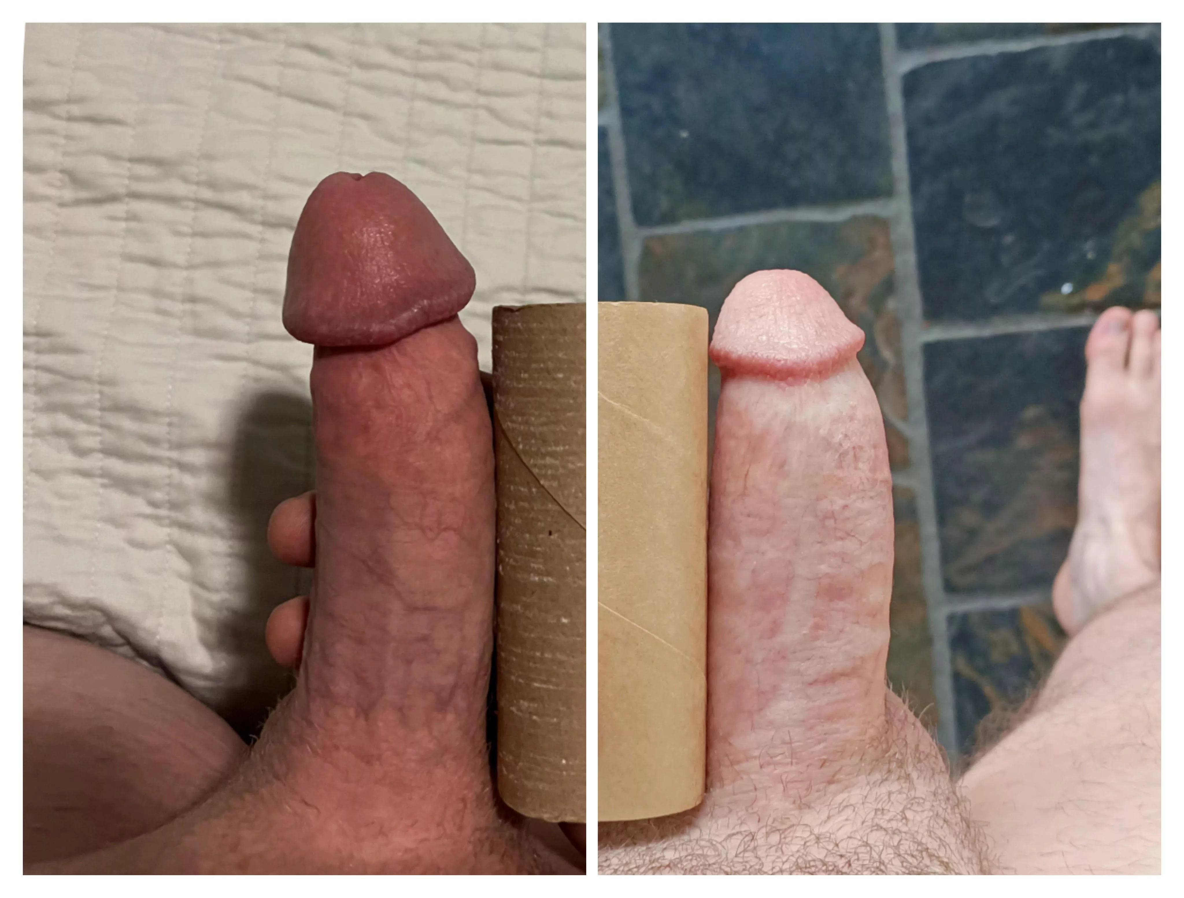 Side by side toilet roll compare. Are you game to compare?