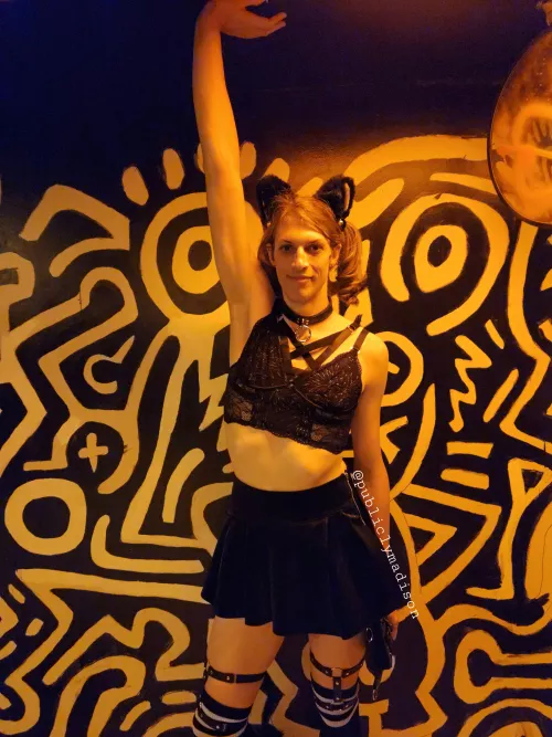 Tall kittens are allowed here, right?