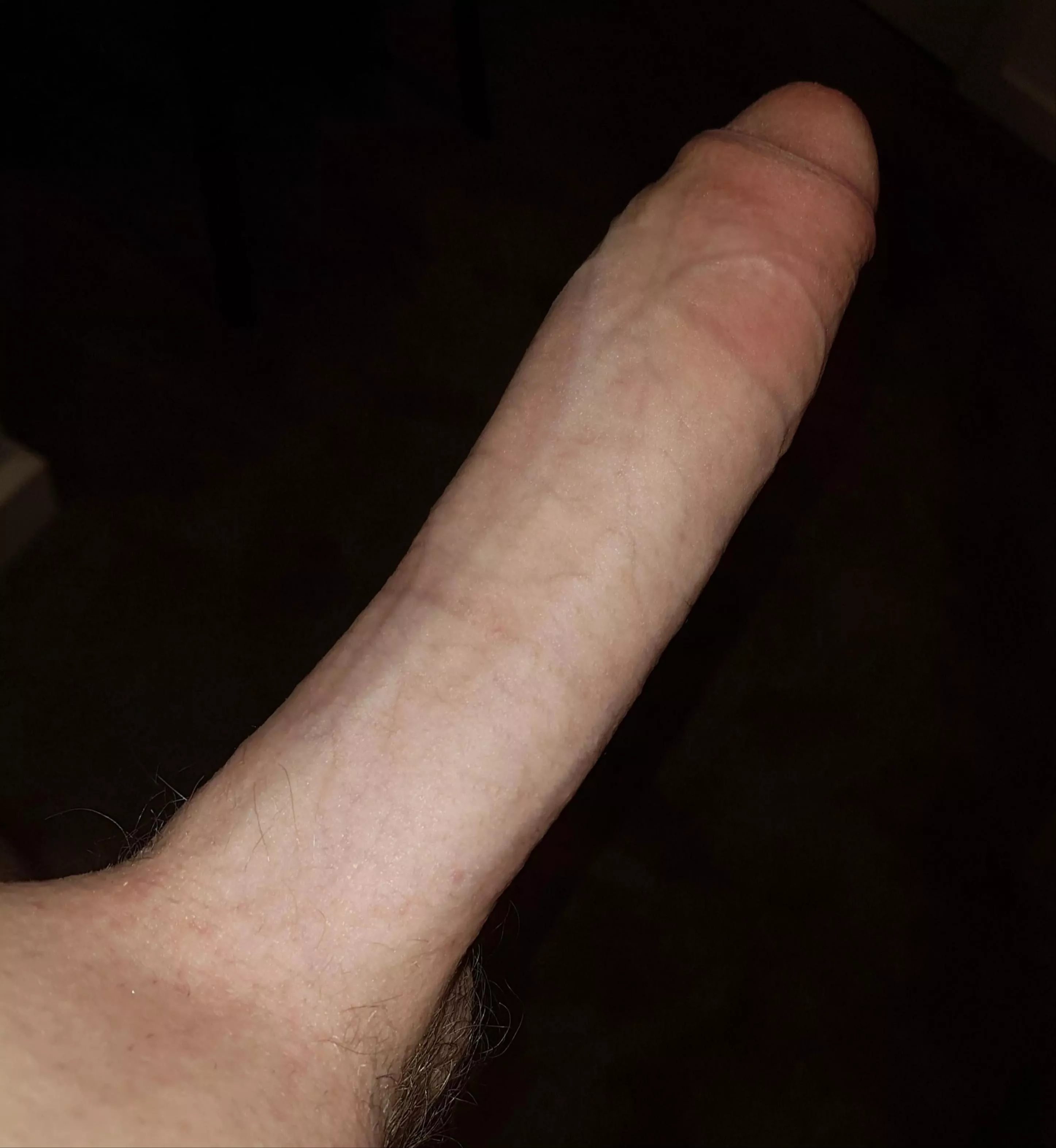 What do you think of my highschool cock