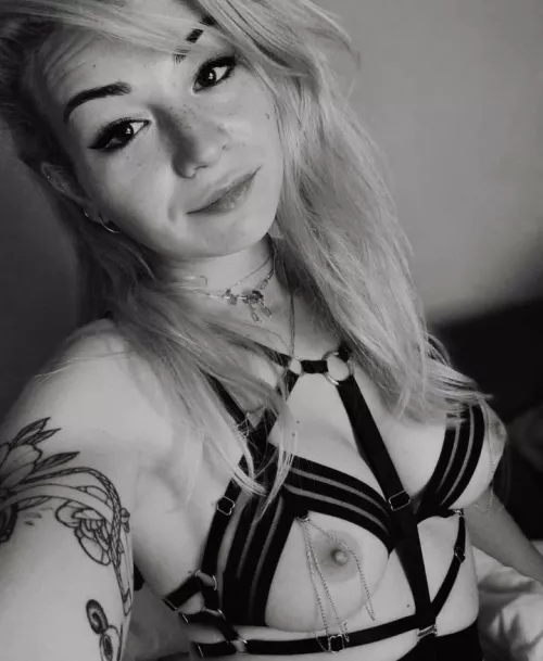 What would you do if i showed you this picture?