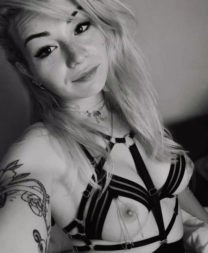 What would you do if i showed you this picture?