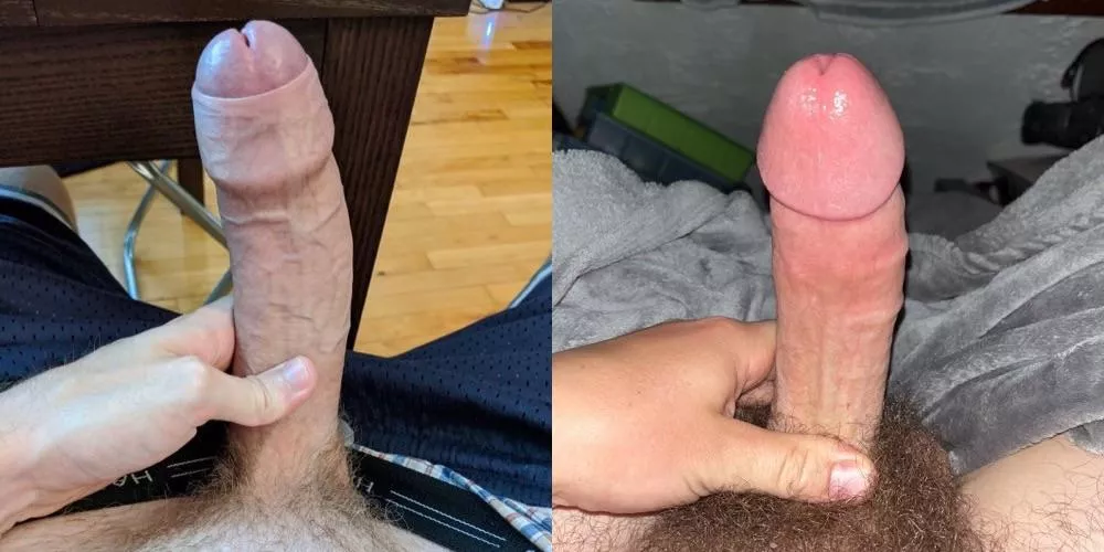 Which cock would you rather , left or right?
