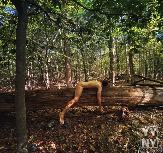 Laying on a tree, I realized I'm one step closer to becoming a sloth. Now, where's my leafy snack? 🦥 🌿