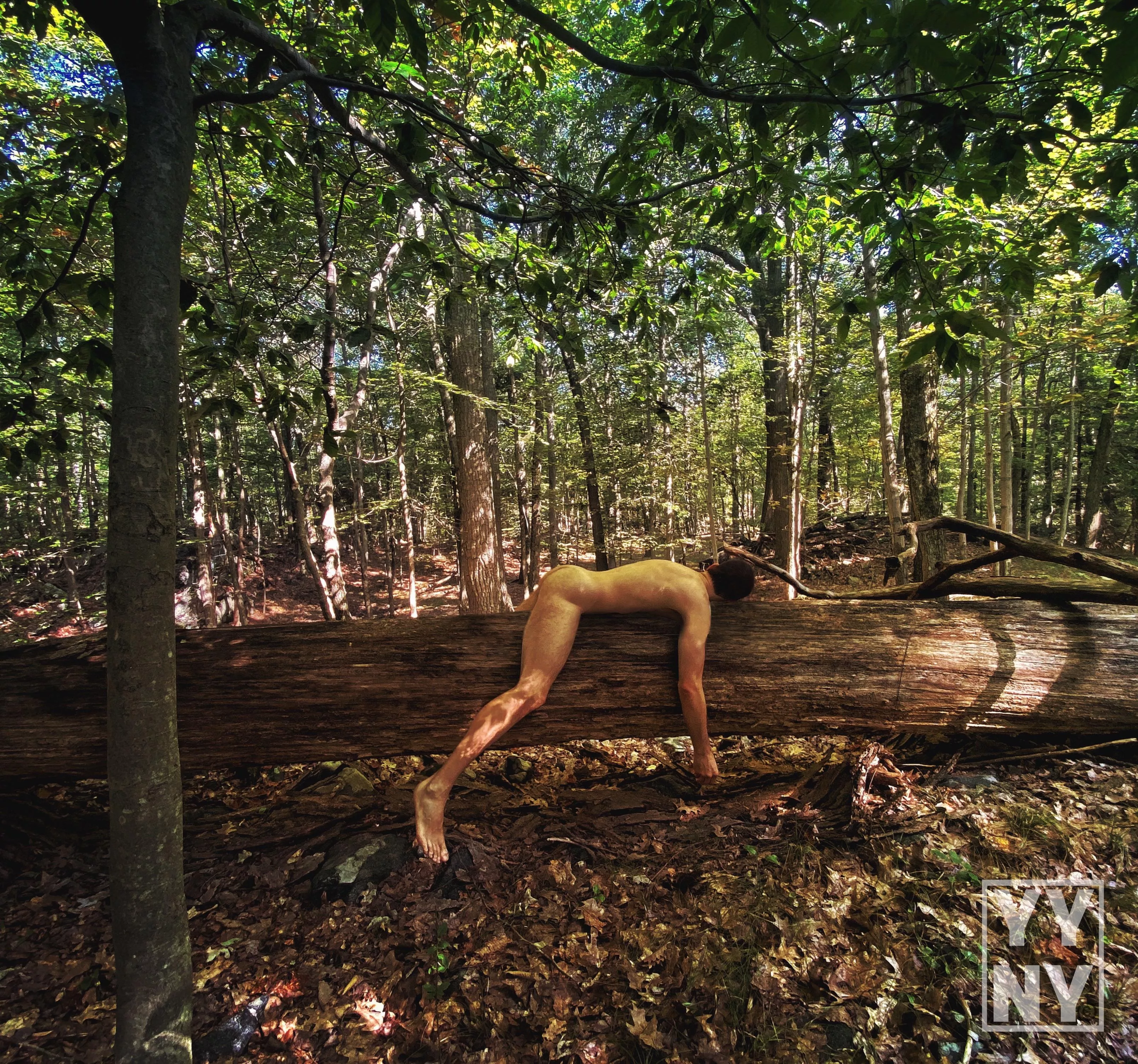 Laying on a tree, I realized I'm one step closer to becoming a sloth. Now, where's my leafy snack? 🦥 🌿
