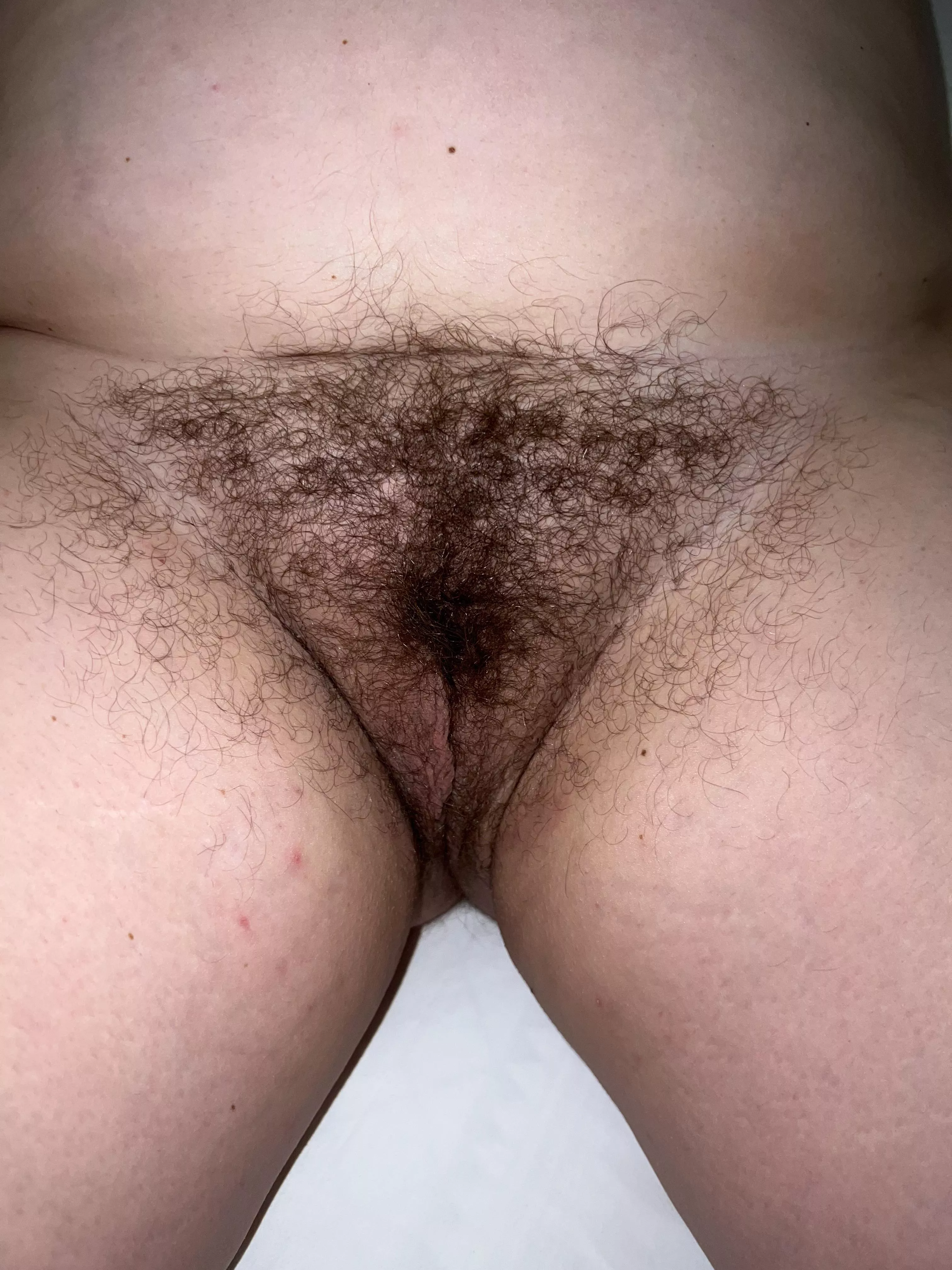 My 41 year old Canadian wife’s sideburns. Feel free to message us.