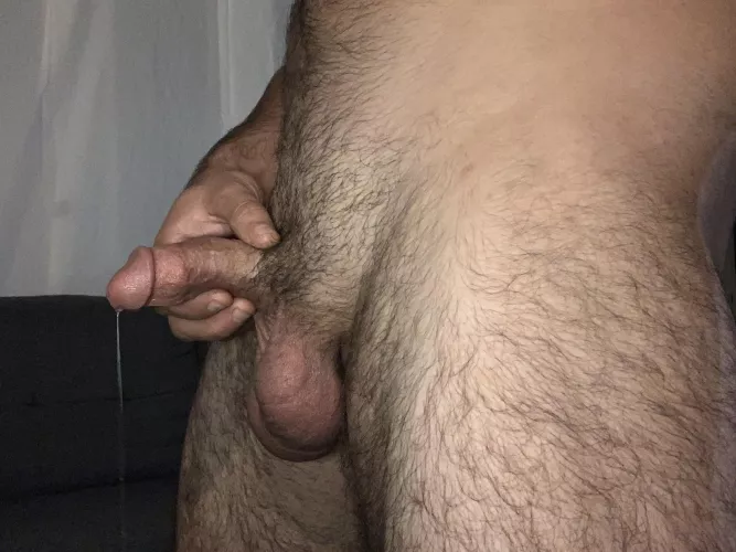 Not even hard yet… but I’m already dripping thinking about you