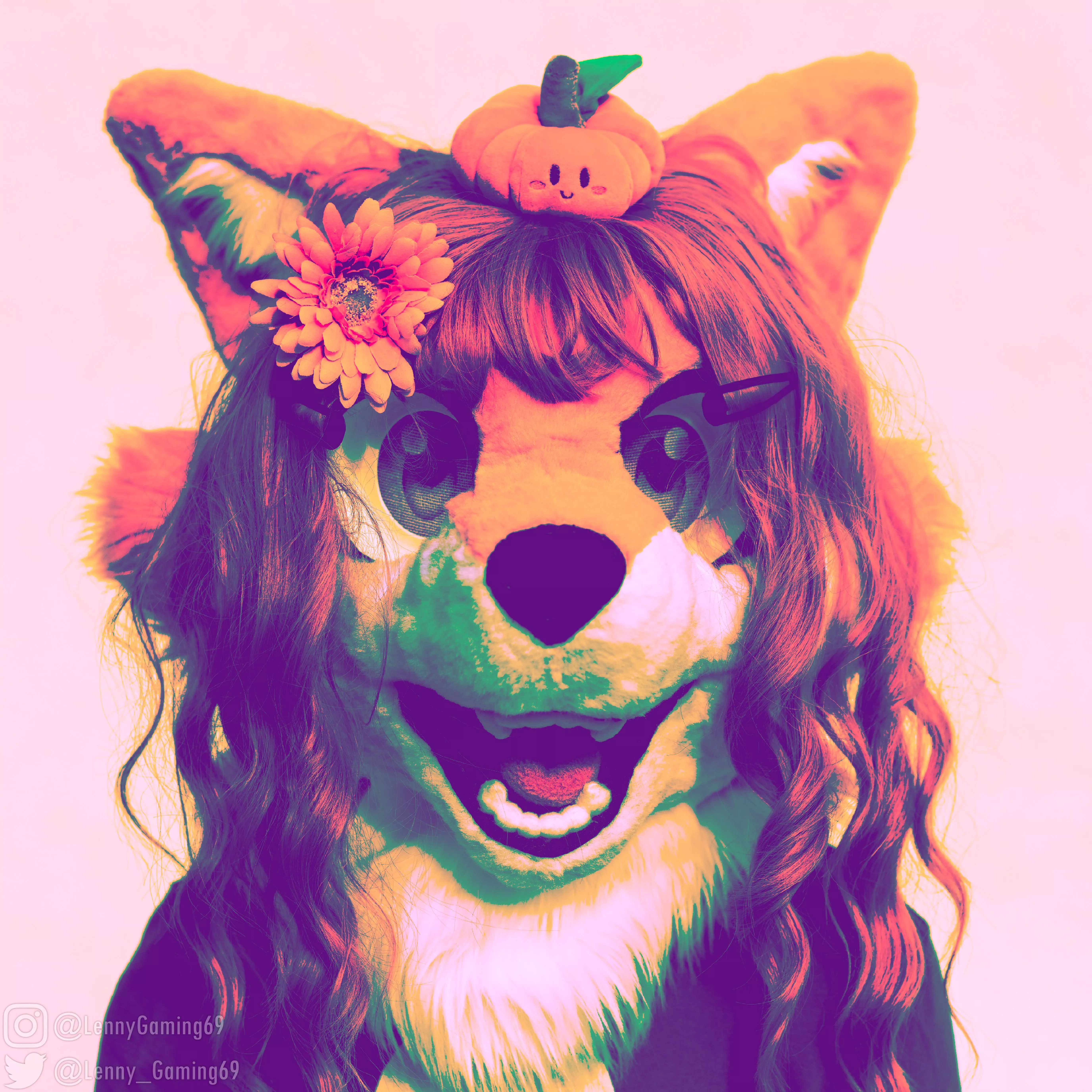 The furry. [LennyGaming]