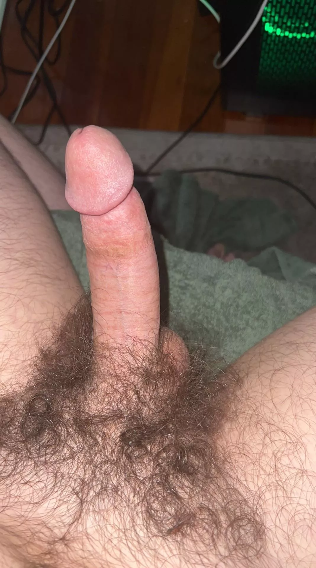 Anyone here like bushes?