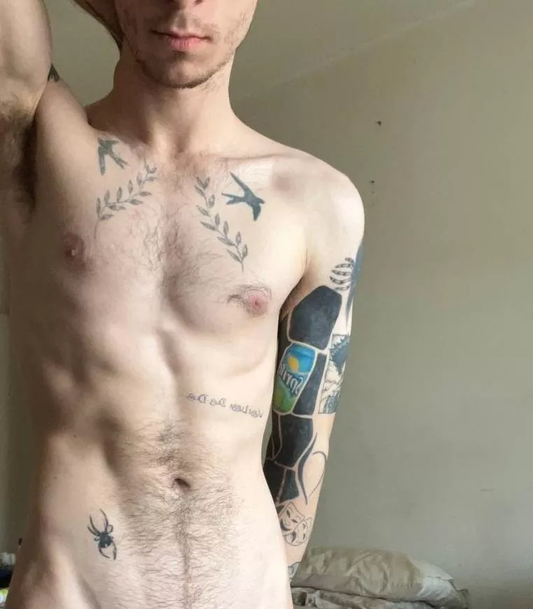 How many do you see?