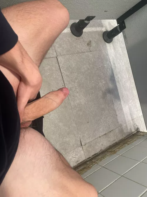 Public toilets fun