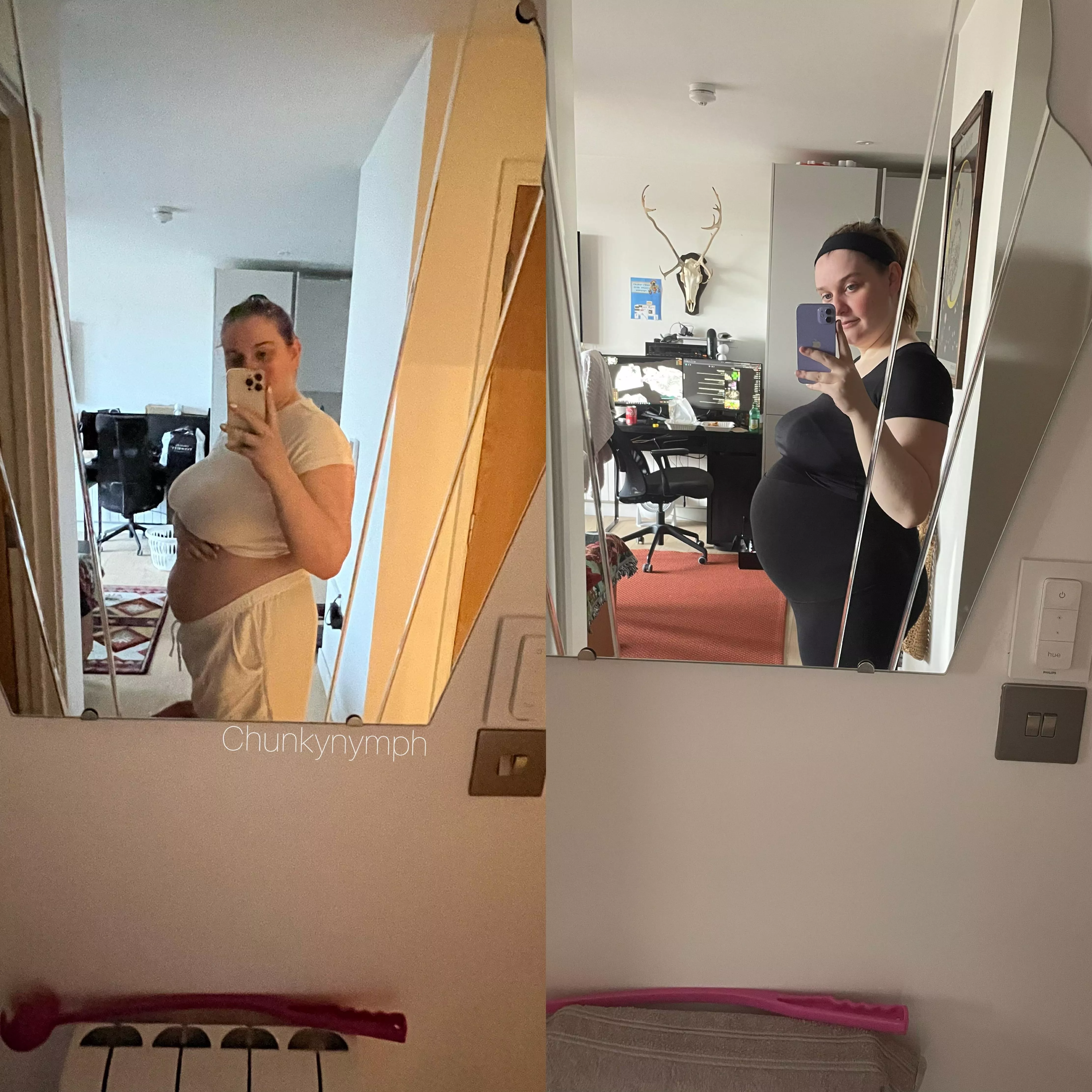 The progression of my pregnancy