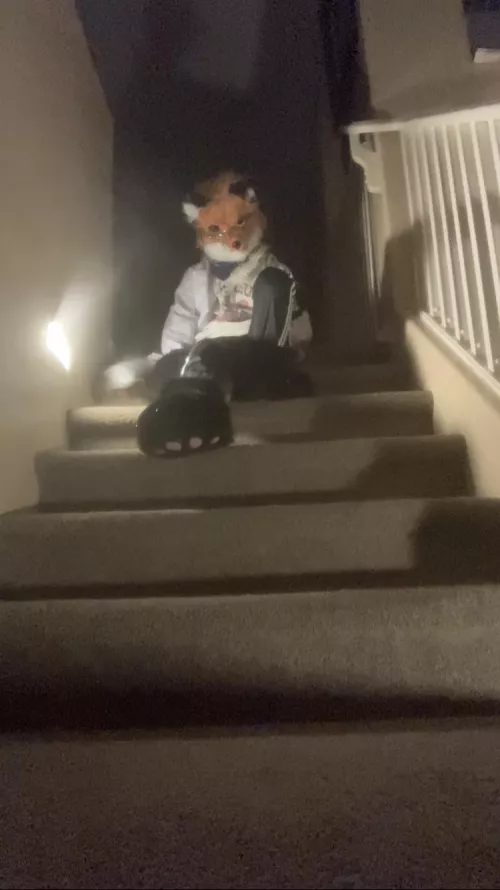 A fox stalks you in front of a gate of vast emptiness. Do you wish to obey his commands and go with him? 🦊