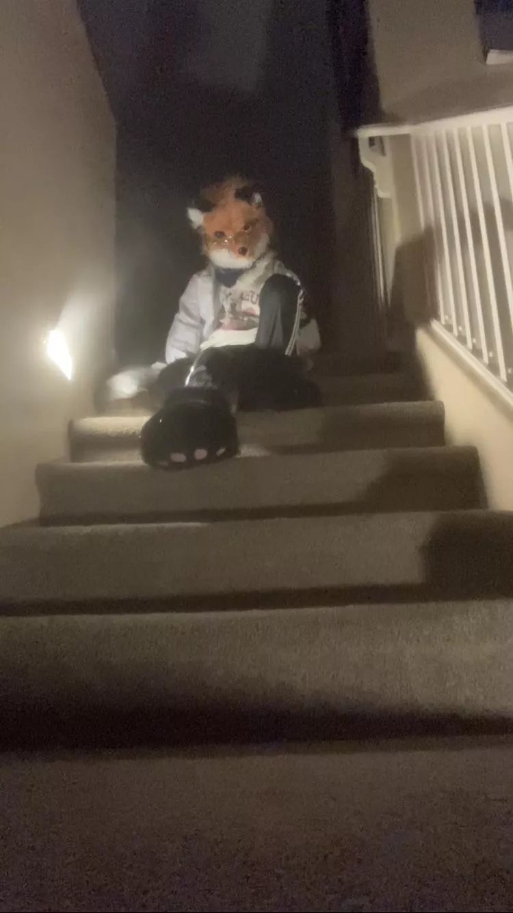 A fox stalks you in front of a gate of vast emptiness. Do you wish to obey his commands and go with him? 🦊