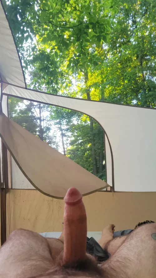 Enjoying the morning sun in this crowded campground!! Cum in and join me!!