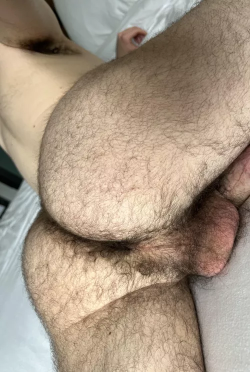 24 in shape DL Arab with a big furry bubble butt. 😈 Add my snapp: Scfur