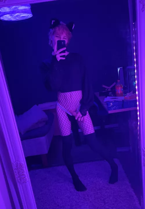 Guess where the tail leads 🥴