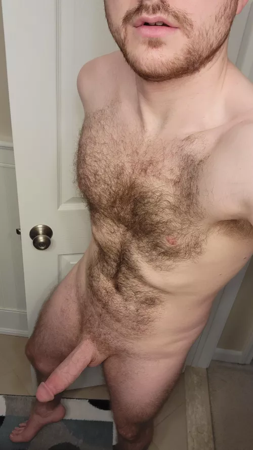 Hairy & Hard