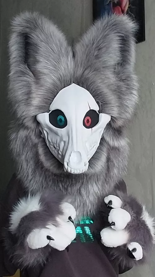 Hii! I'm a new fur looking for a fun time on reddit.