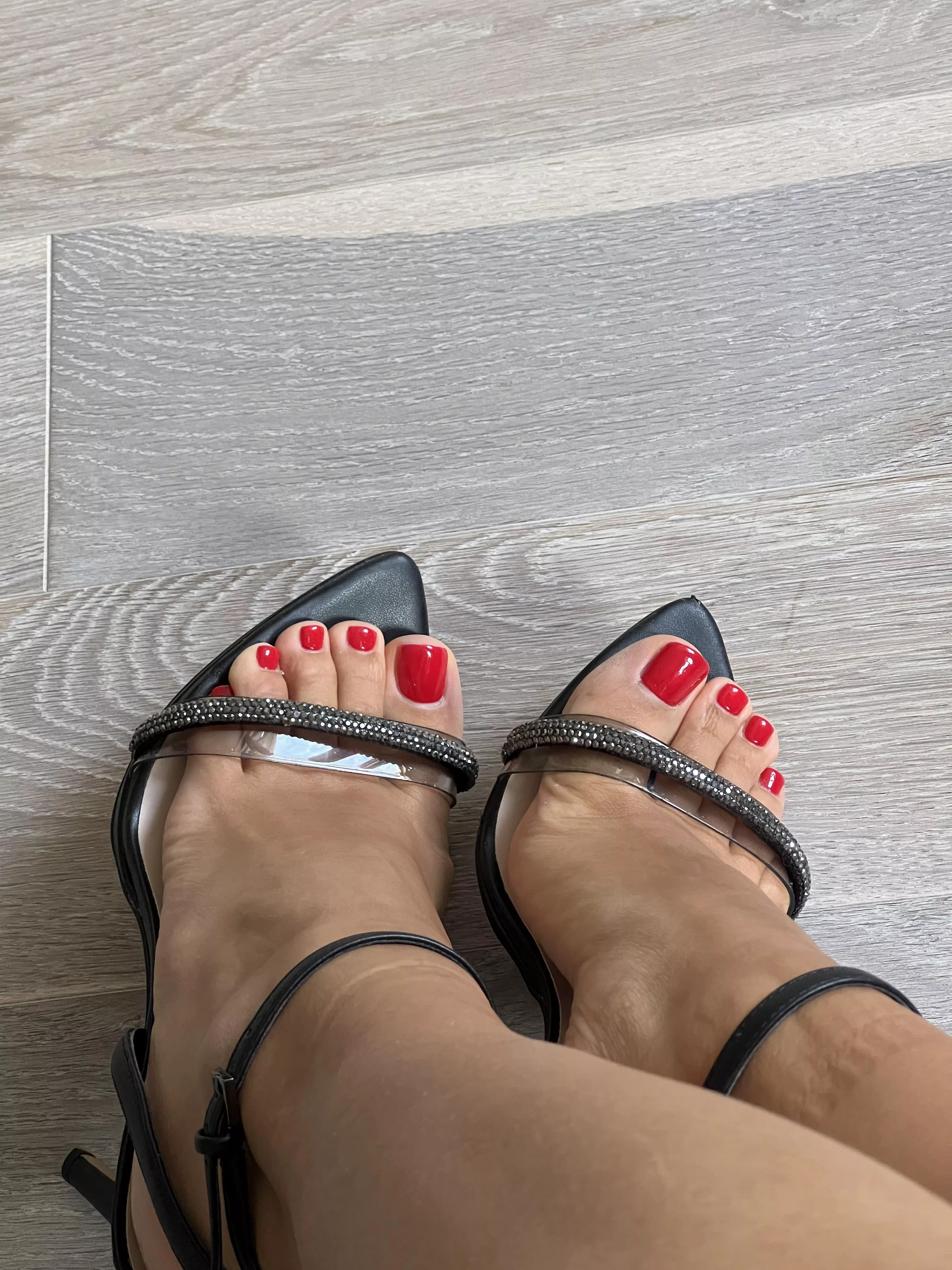 Imagine them in your lap... :p