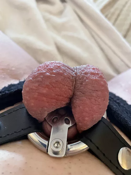 Keep up the tradition