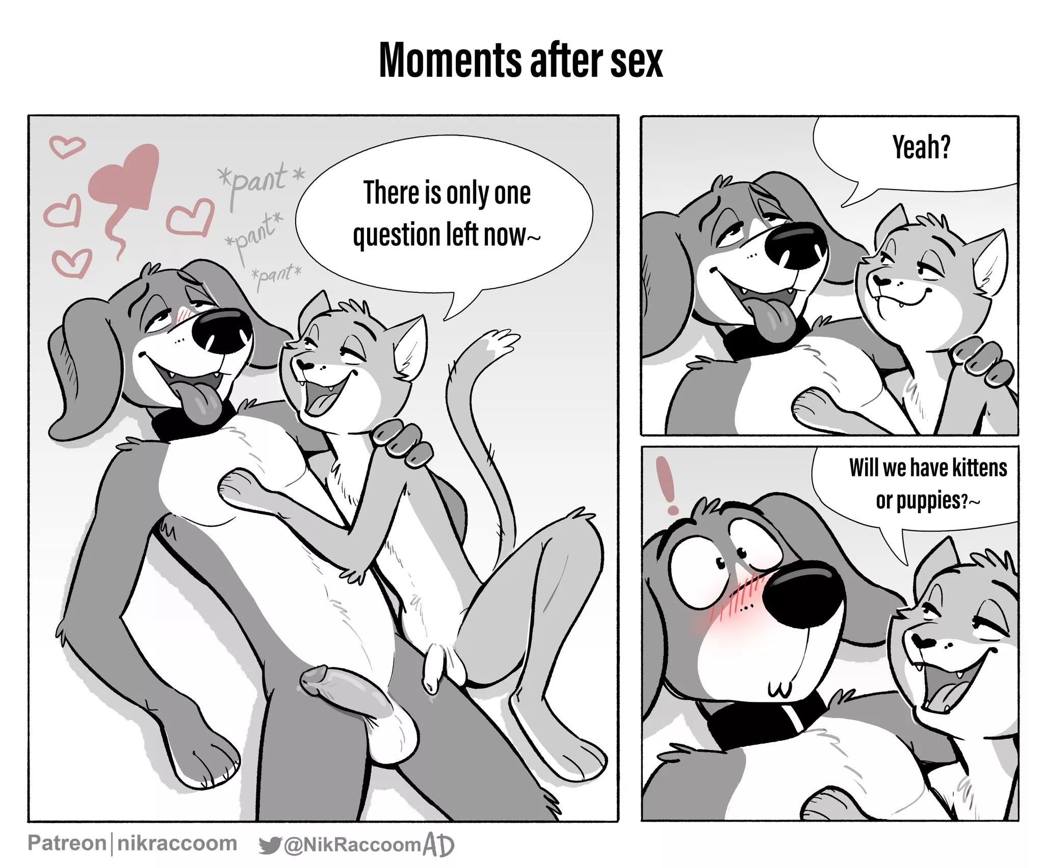 Moments After Sex (NikRaccoomAD)