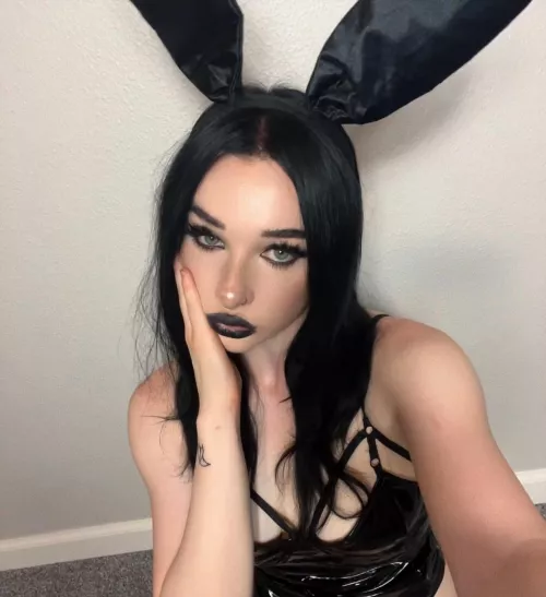 need a slutty bunny?