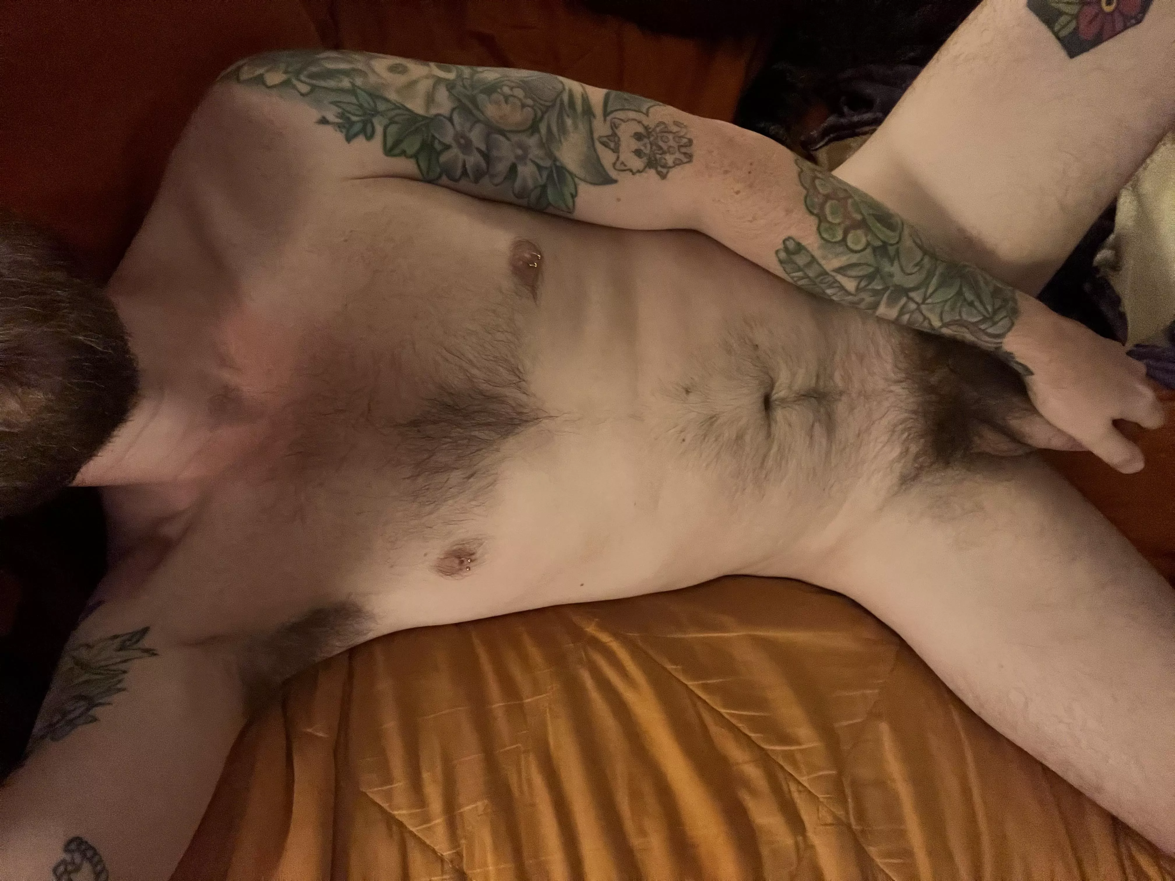 Not as hairy as some of you fuckers, but I hope you still like me 🤪