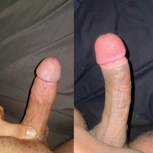 There’s only one alpha male