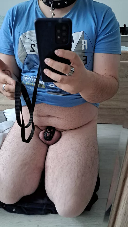 What would you do to me, if you hold my leash?