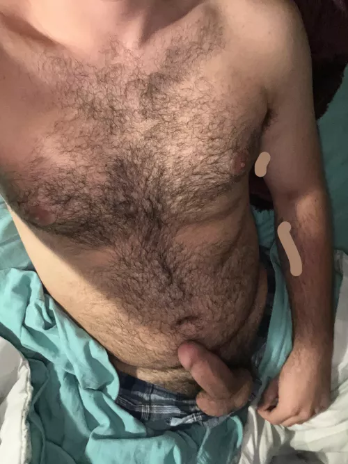 (22) not a bear, but maybe a cub? let me know haha